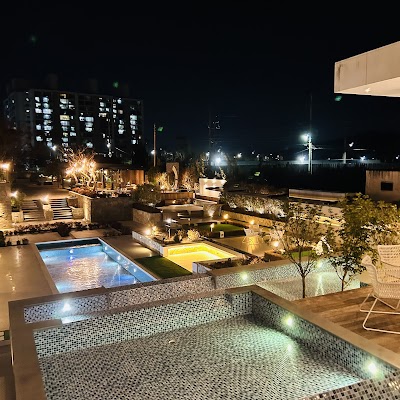 벤자마스 image 4